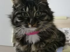 -左邻右舍褡裢火烧(石榴园店)