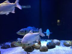 -成都浩海立方海洋公园