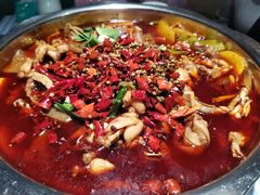 -宽口美蛙鱼头(大唐西市店)