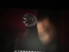 -博纳国际影城(铜锣湾激光巨幕杜比店)