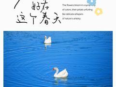 -乌村