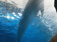 -波塞冬旅游度假区