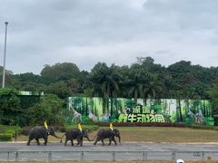 -深圳野生动物园