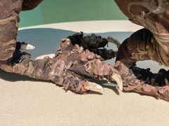 -Nathalie Djurberg与Hans Berg“牛皮纸包裹的月亮”-Prada荣宅当季展览