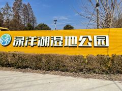 -渌洋湖湿地公园