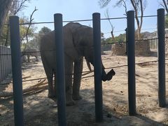 -新疆天山野生动物园