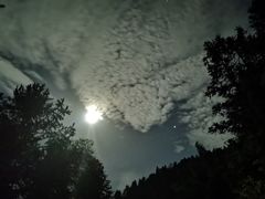 -紫鹊界梯田景区