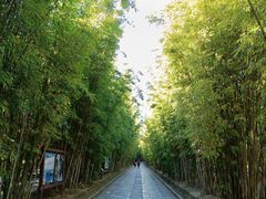 -蝴蝶泉公园
