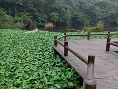 -天目湖山水园