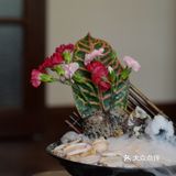 深圳约会餐厅 · 在日式庭院里吃火锅~