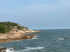 -广东惠东海龟国家级自然保护区