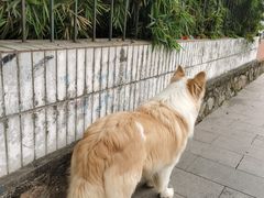 -豆舞咖啡(民乐路店)