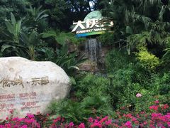 -东部华侨城