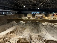 -秦始皇帝陵博物院(兵马俑)
