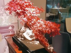 -顺峰(农展馆店)