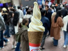 -富豪雪糕车流动点(尖沙咀店)
