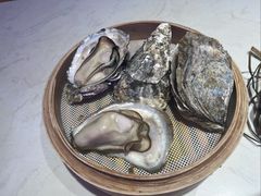 -杨氏青龙虾·羊蝎子(托乐嘉店)