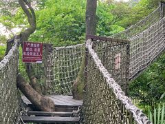 -南丹山森林王国