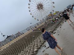 -奉贤海滩