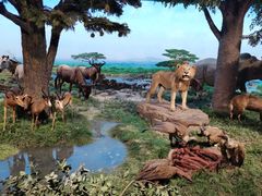 -国家自然博物馆