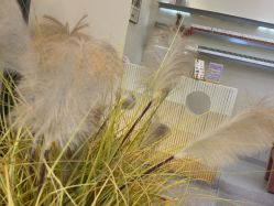 -MONICABOX美甲美睫