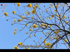 -火炉山森林公园