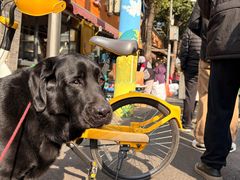 -老黄记手撕烤兔(玉林街店)