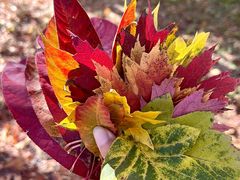 -回龙观体育文化公园