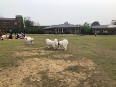 -钟山体育运动公园