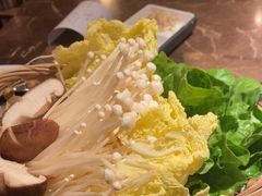 -同仁四季椰子鸡(罗湖国贸店)
