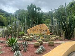 -深圳仙湖植物园