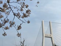 -上海南浦大桥长途旅游客运站