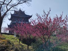 -虞山风景区