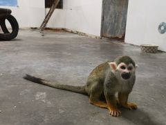 -西安秦岭野生动物园