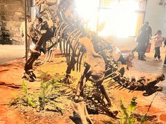 -自贡恐龙博物馆