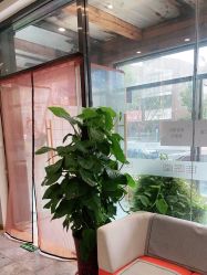 -佳医堂小儿推拿·产后康复·脊柱养护(尚东庭店)