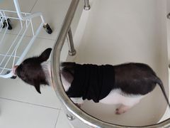 -怪兽屋·羊驼·猫咖·狗咖(俊华广场店)