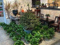 -双季花艺园艺市场(浦东店)