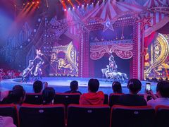 -珠海横琴长隆《卡卡虎奇遇记》