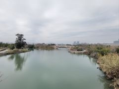 -三垟湿地