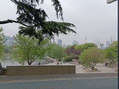 -月湖风景区