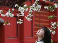 -明蜀王陵(地铁站)