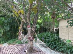 三亚凯莱仙人掌度假酒店-三亚亚龙湾凯莱仙人掌度假酒店