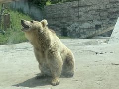 -哈尔滨北方森林动物园