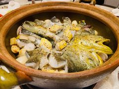 砂锅焗东海大黄鱼-人间采蜜(海信广场店)