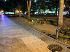 -大通公园
