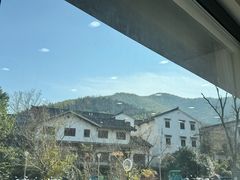 -紫藤园·天目湖大鱼头(南山竹海店)