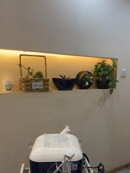 -时光畔·酷雪·问题肌终点站