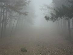 -四明山国家森林公园