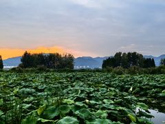 -滇池海埂公园